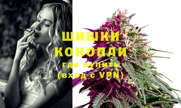 гидра Баксан