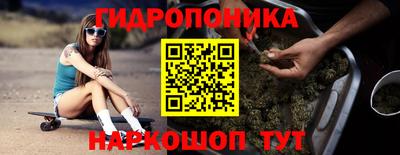 jwh Кимры