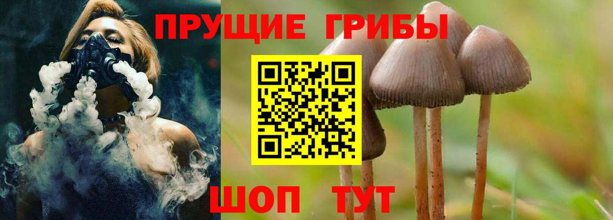 Галлюциногенные грибы мухоморы  Вход с VPN  Кувандык  Псилоцибиновые грибы MAGIC MUSHROOMS 